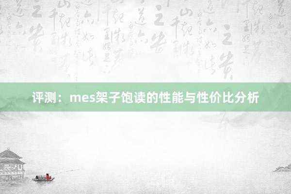 评测：mes架子饱读的性能与性价比分析